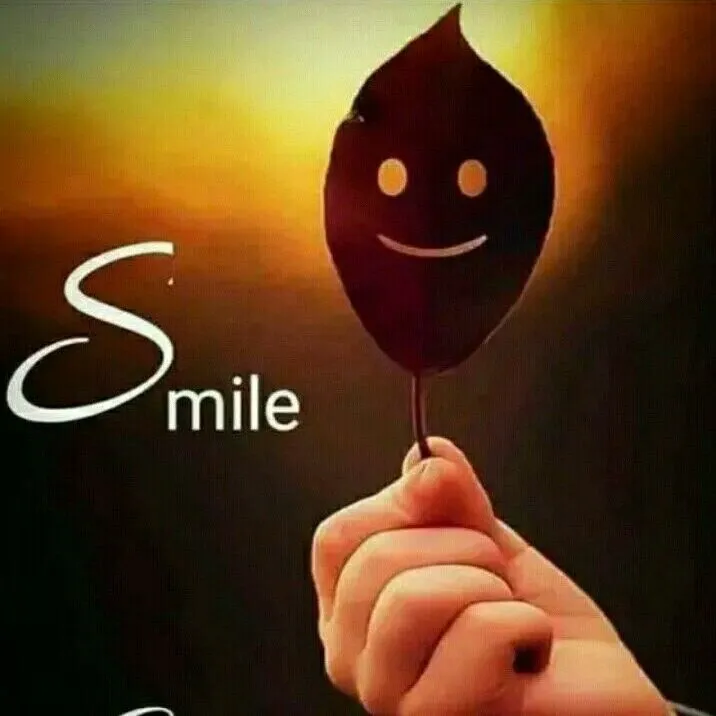 best dp best dp